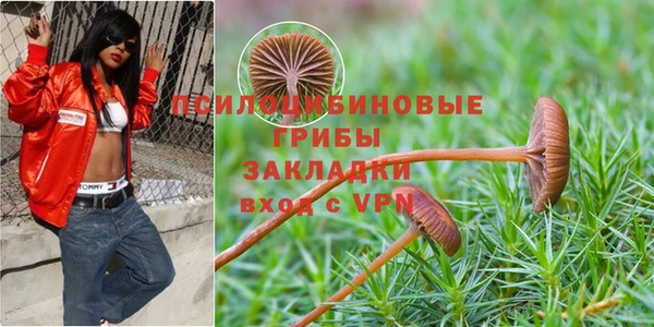 ECSTASY Навашино