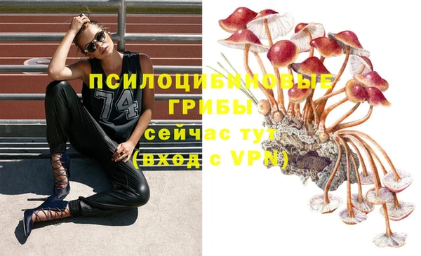 крисы Нея