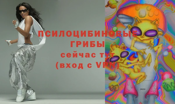 мдма Новодвинск