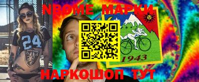 крисы Берёзовский