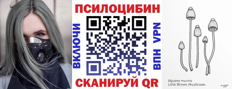 купить наркотик Челябинск blacksprut рабочий сайт Галлюциногенные грибы GOLDEN TEACHER