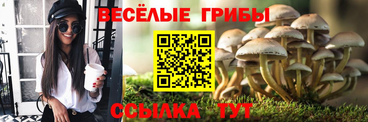 Галлюциногенные грибы Psilocybe  Вход с VPN  Челябинск 