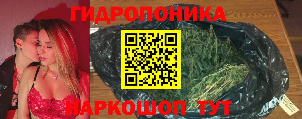 Челябинск  Шишки марихуана ГИДРОПОН  Конопля OG Kush  Вход с VPN  Канабис White Widow 